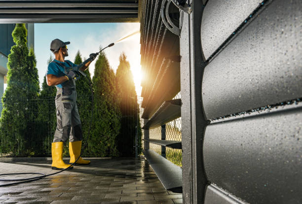 Best Roof Cleaning and Mildew Removal in Cherryland, CA